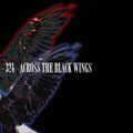 324 / ACROSS THE BLACK WINGS